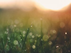The Practice of Noticing