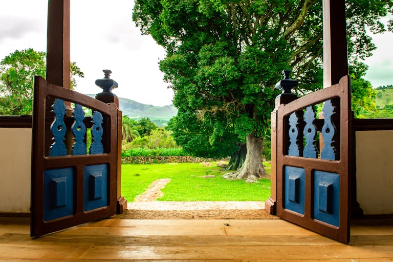 A charming wooden door opens to reveal a lush, green garden with large trees and distant hills.