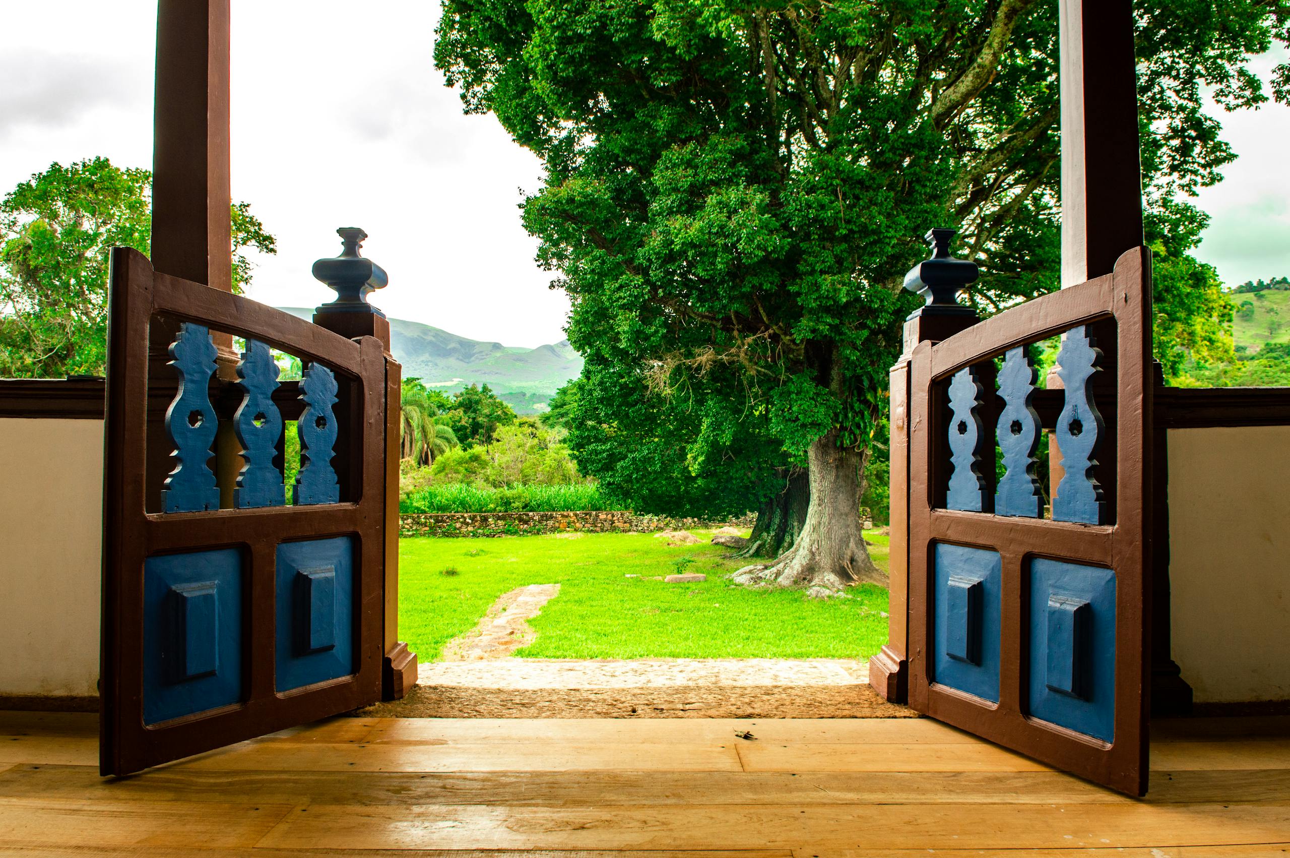 A charming wooden door opens to reveal a lush, green garden with large trees and distant hills.